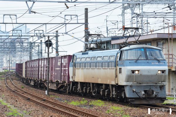 EF66形電気機関車 EF66 103/2017-07-03 枇杷島