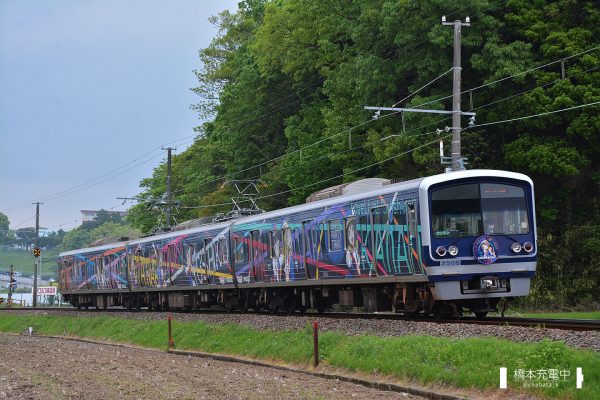 伊豆箱根鉄道3000系 3011F HAPPY PARTY TRAIN(2018-04-23)